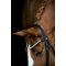 HorseGuard Rainbow Pandeb�nd - Sort m. Rainbow