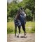HorseGuard Landon 100 Gram Dkken - Navy
