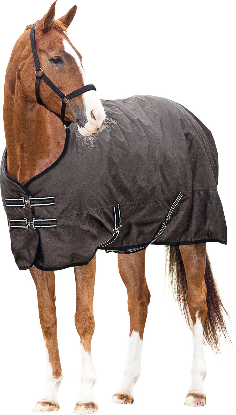 HorseGuard Turnout Dkken 0 Gram - Mud