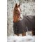 HorseGuard Landon 200 Gram Dkken - After Dark 