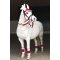 HorseGuard 4 pk. Julegamacher - Rd m. Hvid  
