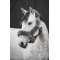 K�llquist Equestrian Protector Cozy Grime - Brun m. Brun 