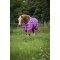 HorseGuard Josh Dkken 0 Gram - Phlox Pink 
