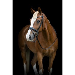 HorseGuard Cryll 25.2 Trense - Sort 