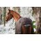 HorseGuard Landon 200 Gram Dkken - After Dark 