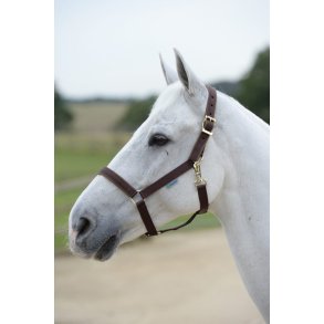 Bucas Dublin Grime - Brun