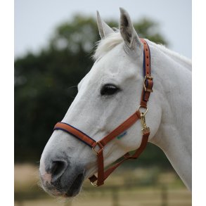 Bucas Dublin Grime - Brun/Navy