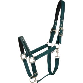 HorseGuard Sandra Grime - Ponderosa Pine 