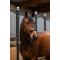 Eskadron Core Elegance L�dergrime - Sort 