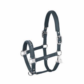 Eskadron Classic Sports Sparkle Double Pin Grime - Ocean