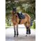 LeMieux Brilliance Underlag - Navy