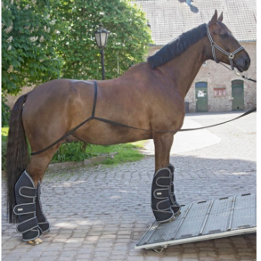 Waldhausen Lssetov - Sort 