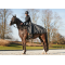 Equipage Laurie Rideskrt - Sort 