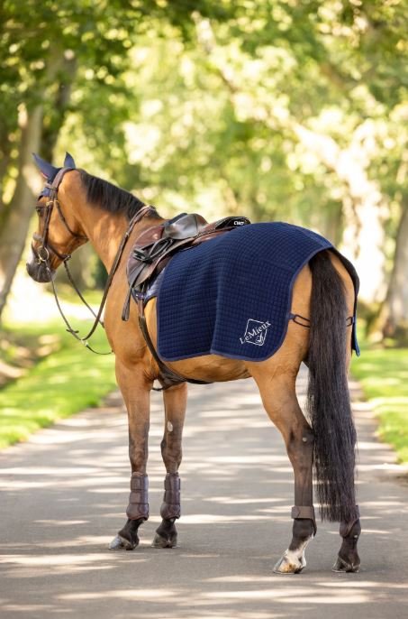 LeMieux Clima-Tek Lndetppe - Navy 