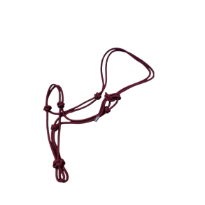 Hansbo Sport Rebgrime - Bordeaux 