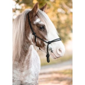 K�llquist Equestrian Protector Rebgrime - Sort 