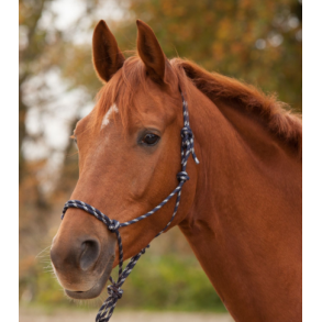 Waldhausen Rebgrime - Night Blue m. Slv 