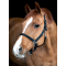 HorseGuard Saby Grooming Grime - Sort 