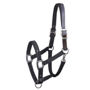 Schockemhle Memphis Breakaway Grime - sort 