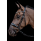 Schockem�hle Siena Trense - Sort m. Lak, Gr� & S�lv