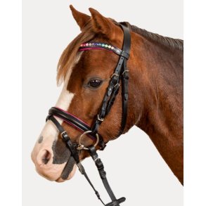 Waldhausen Star Trense - Pinky