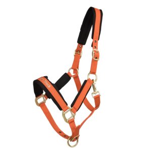 Back On Track Werano Grime - Orange 