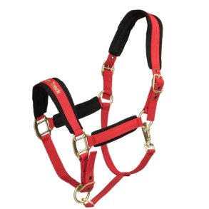 Back On Track Werano Grime - Rd 